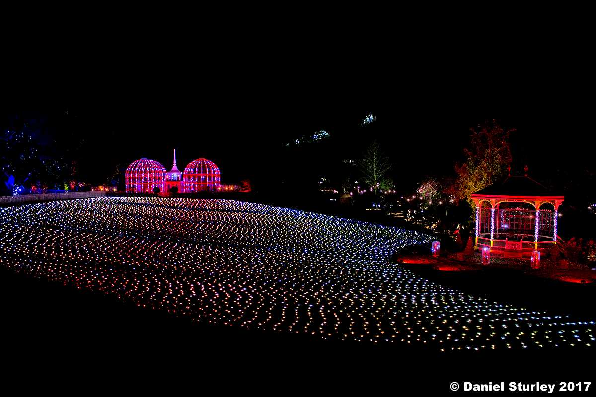 The Botanical Gardens Festive Light Trail