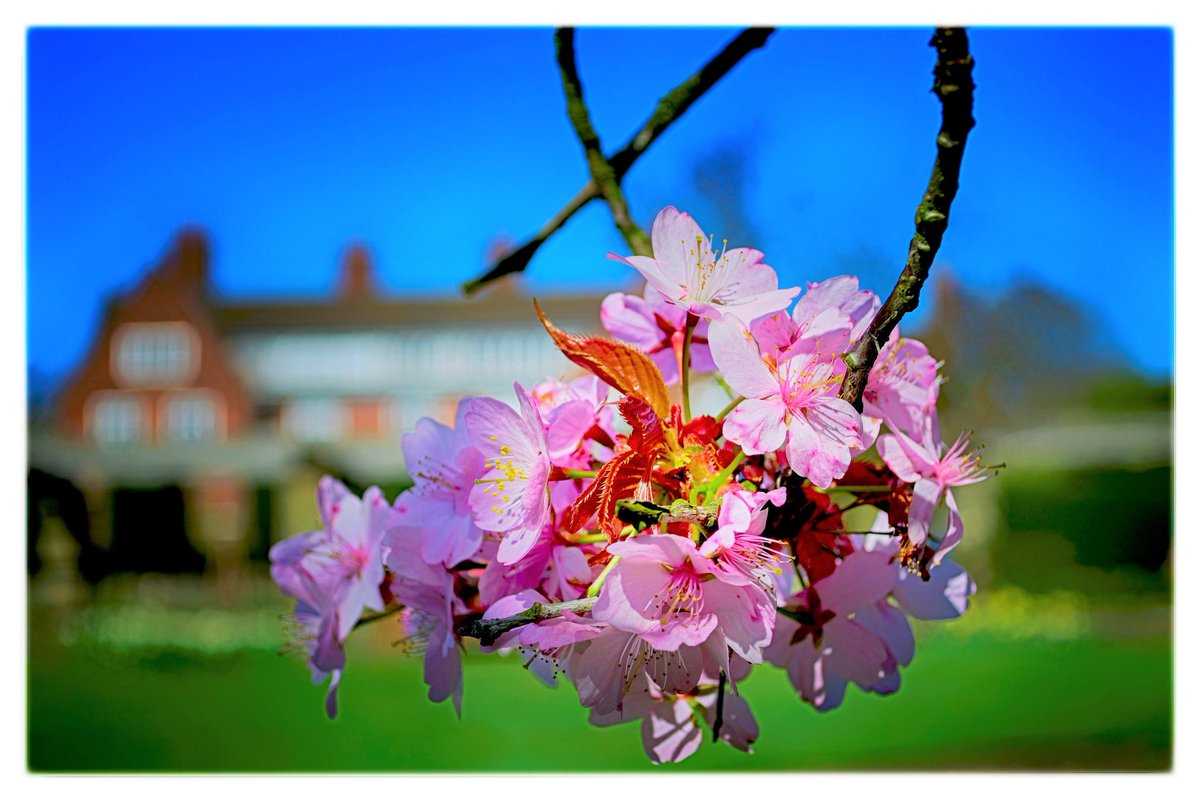 Birmingham`s "in the Pink" for Spring